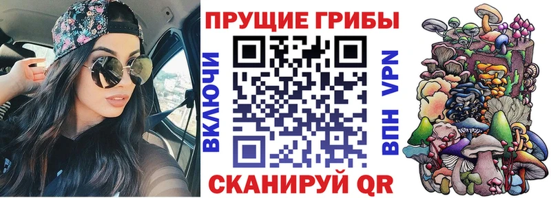 Купить где  Нытва  Псилоцибиновые грибы мицелий 